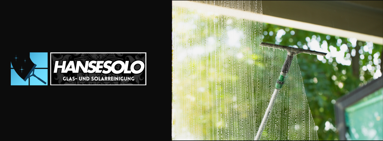 Fensterreinigung Lüneburg